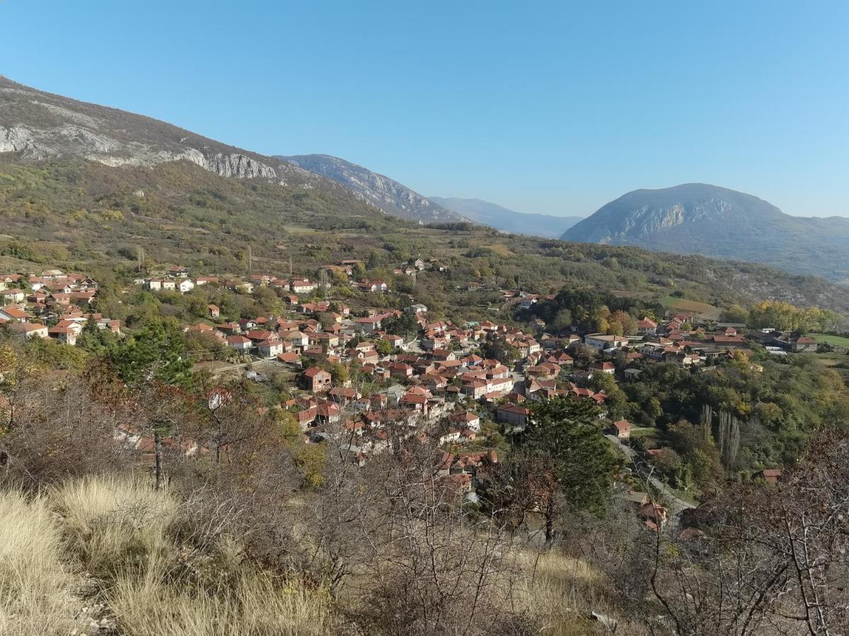 Konak -Guest House -Ramonda Serbika Ниш Екстер'єр фото