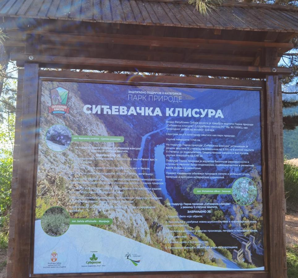 Konak -Guest House -Ramonda Serbika Ниш Екстер'єр фото